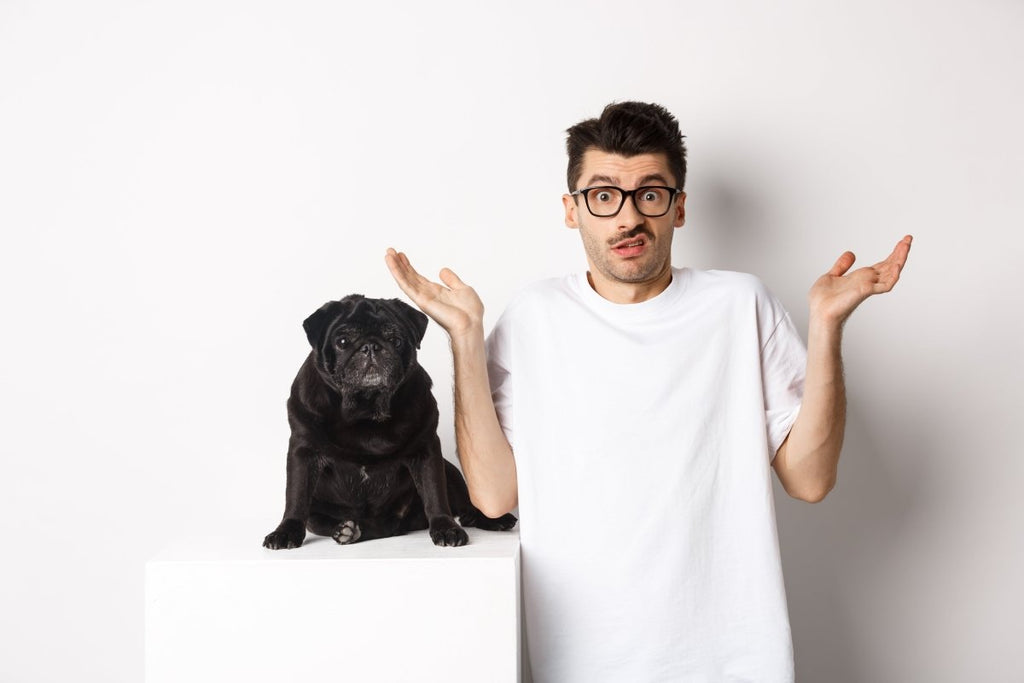 Trending Dog Names and Cultural Influences