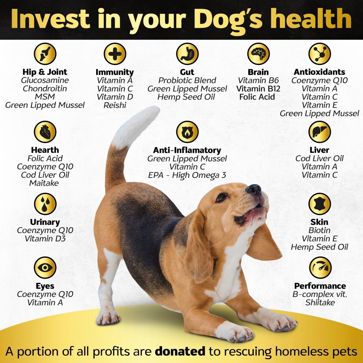 30 Soft Chewable Dog Vitamins & Supplements - Dog Multivitamin - Hemp Oil Glucosamine Chondroitin Hip and Joint Support Health, Skin & Coat, Digestion & Immune System, Skin, Heart, Probiotics - Life4legs