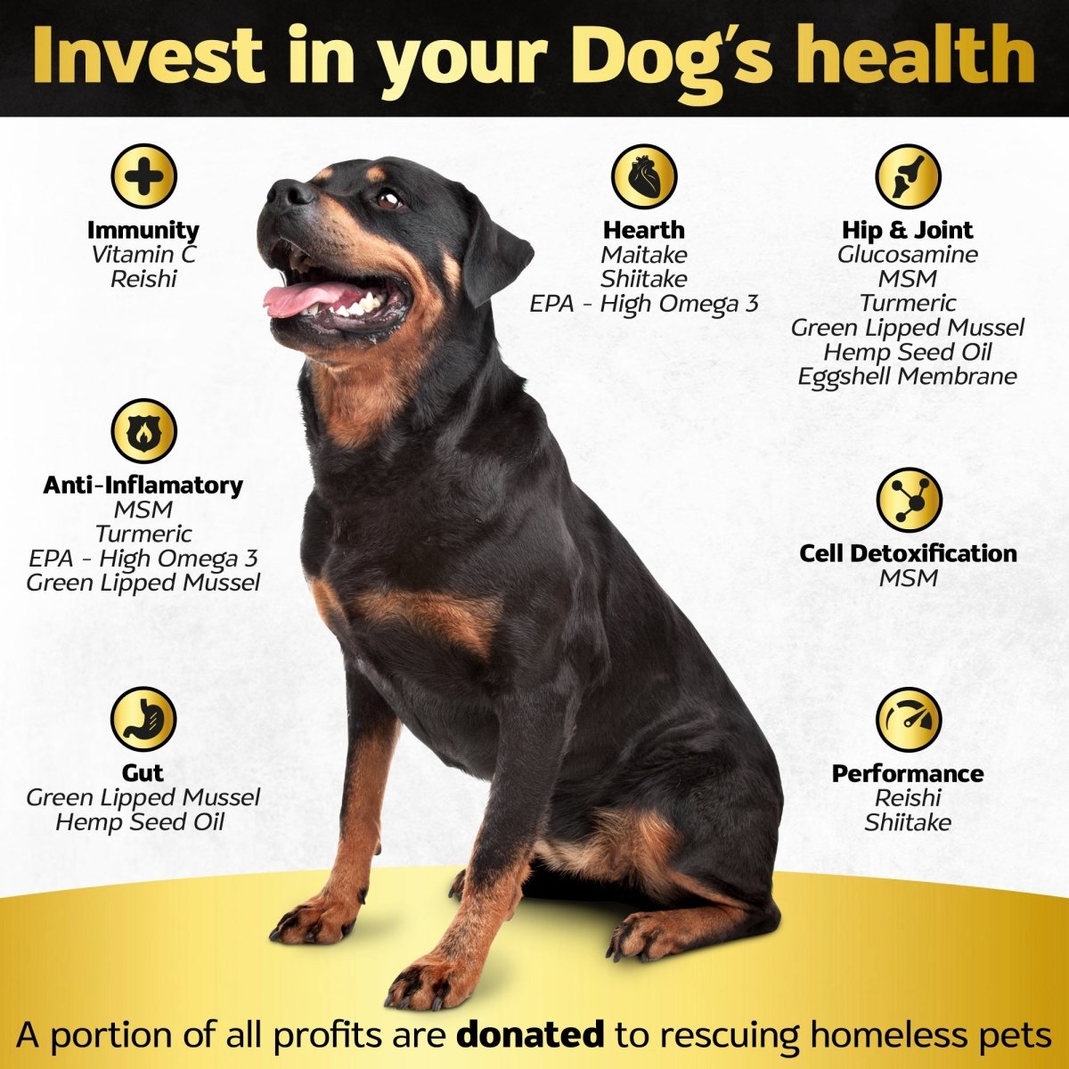 90 Soft chews Hip and Joint Supplement for Dogs - Dog Joint Pain Relief Treats - Glucosamine, Chondroitin, Turmeric, MSM - Hemp oil Mobility Supplement with Green Lipped Mussels - Life4legs