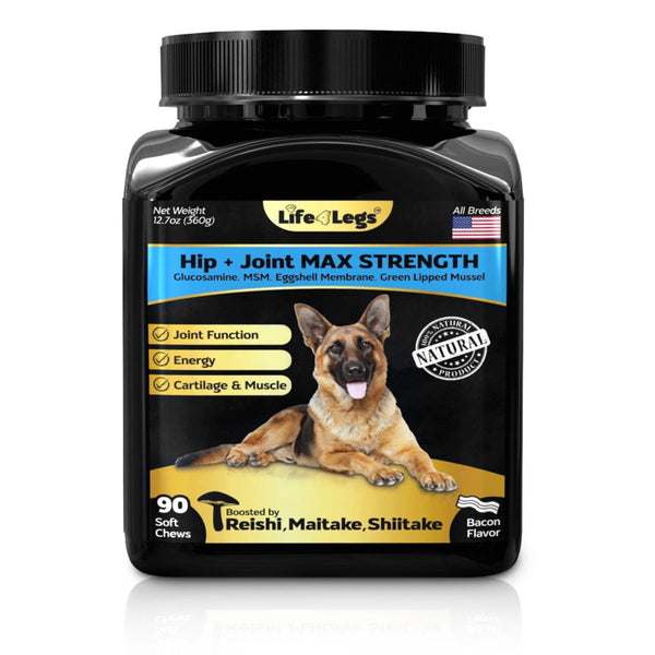 Best hip and joint supplement for large dogs best sale