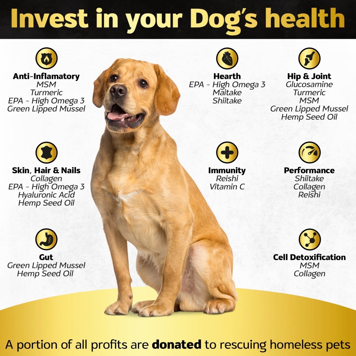 Life4Legs - Hip and Joint 90 Chews for Dogs + Skin and Coat Supplement - Dog Joint Pain Relief Treats - Glucosamine, Chondroitin, MSM, Hemp Oil, Turmeric, Omega 3 for Dogs, Mobility Dog Health Supplies - Life4legs