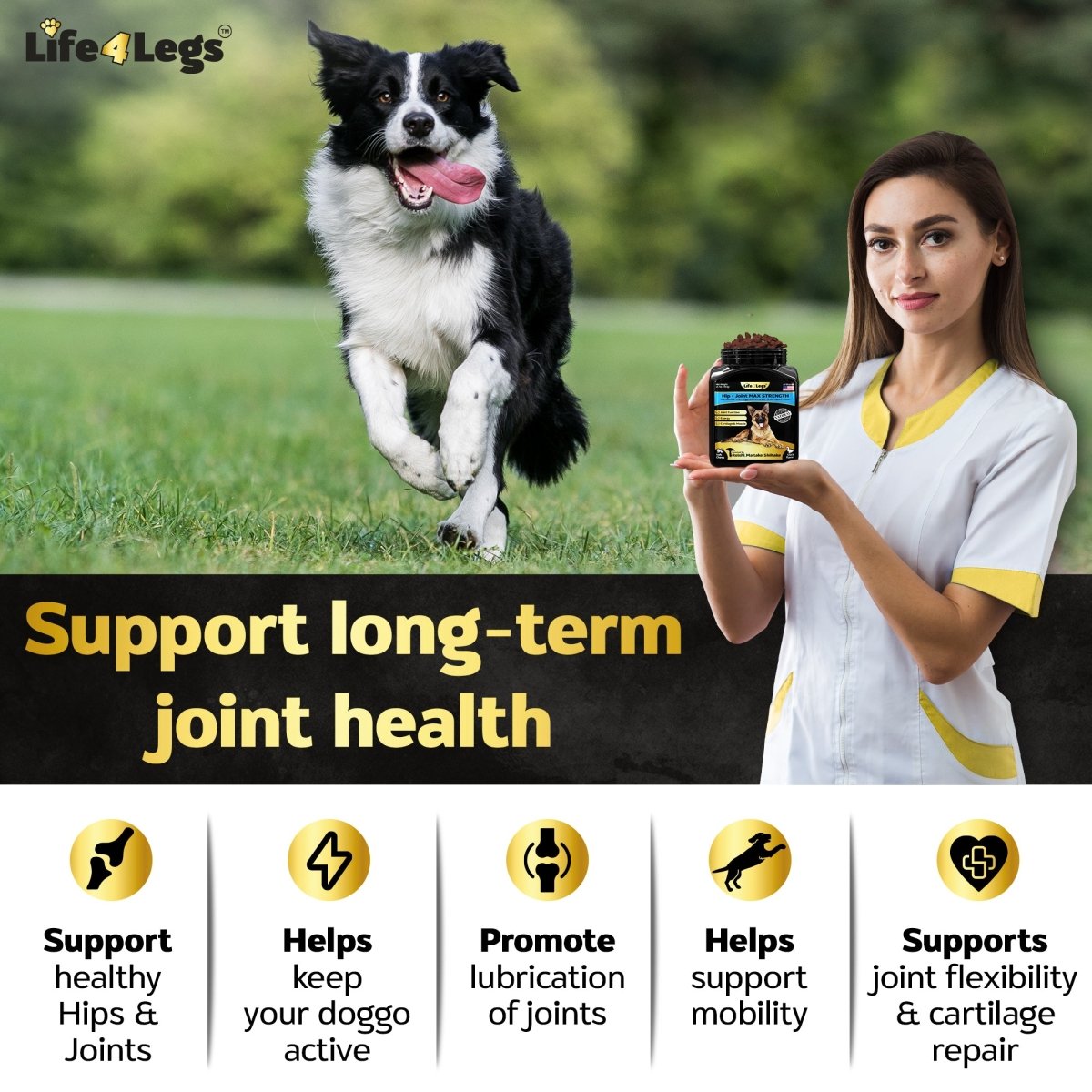 90 Soft chews Hip and Joint Supplement for Dogs - Dog Joint Pain Relief Treats - Glucosamine, Chondroitin, Turmeric, MSM - Hemp oil Mobility Supplement with Green Lipped Mussels - Life4legs