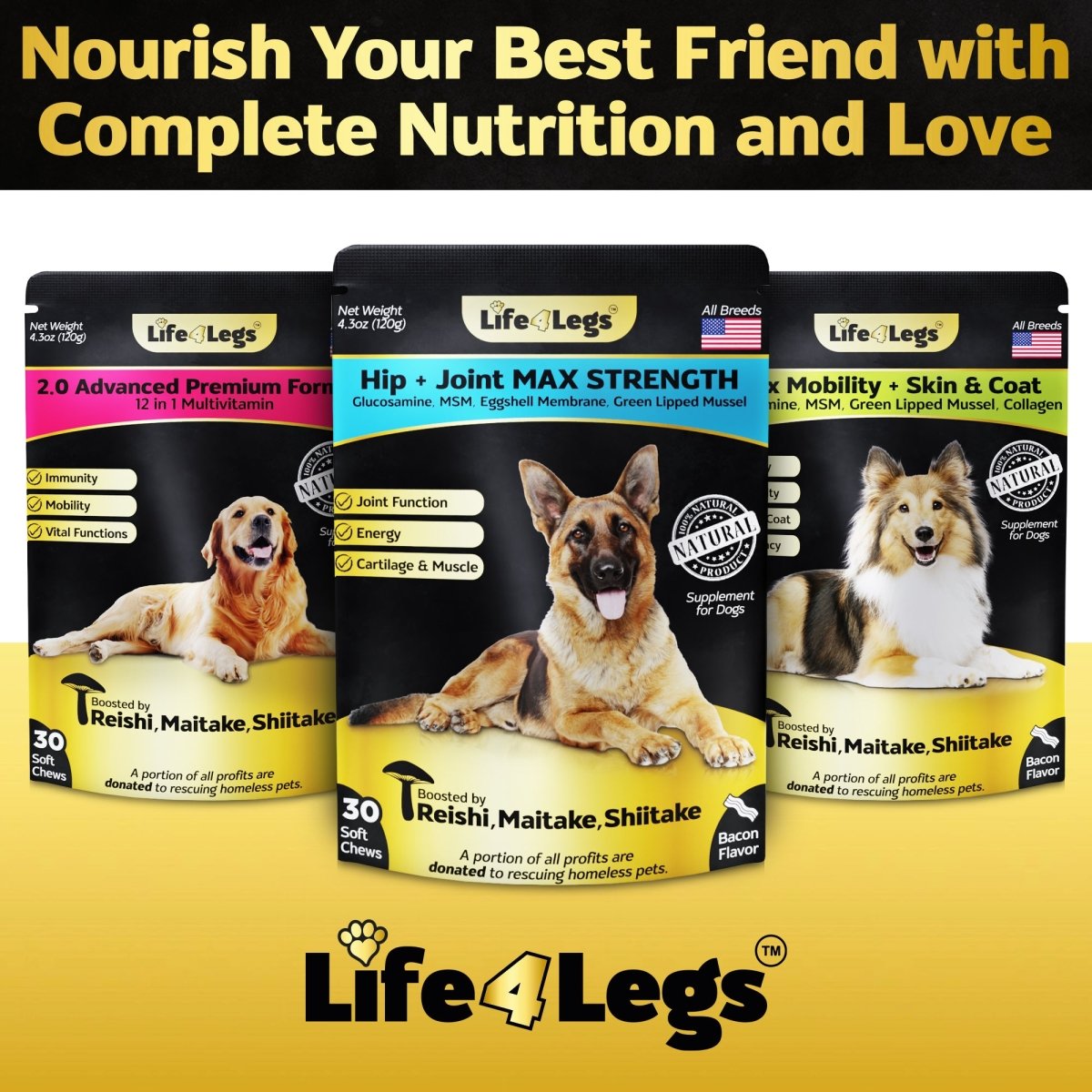 Life4Legs - 30 Soft chews Hip and Joint Supplement for Dogs - Dog Joint Pain Relief Treats - Glucosamine, Chondroitin, Turmeric, MSM - Hemp oil Mobility Supplement with Green Lipped Mussels - Life4legs